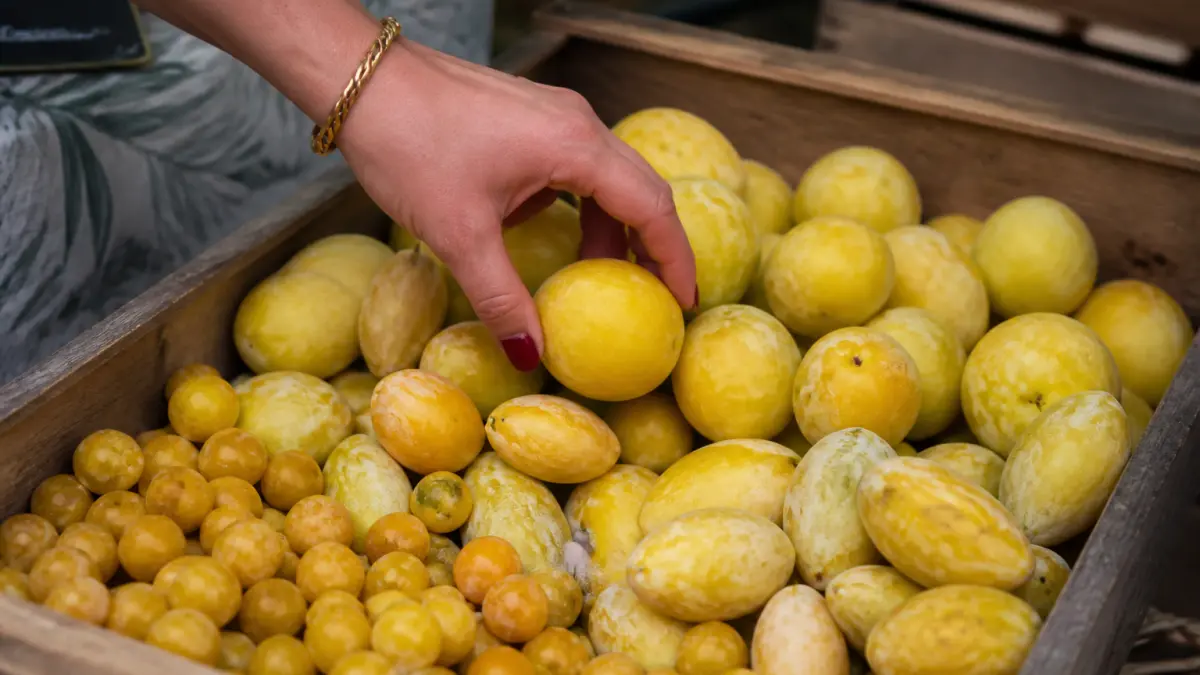 Prune jaune : toutes les variétés et comment les cuisiner