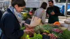 Comment identifier les authentiques produits du terroir sur un marché ?